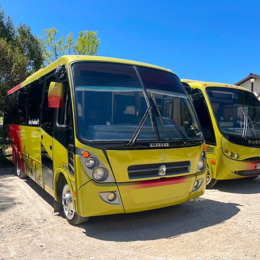 Caio Foz | 2009 | Mercedes Benz LO 915 | 30 Asientos